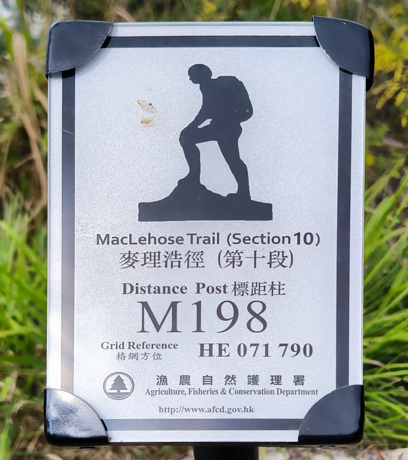 【購物滿$300 - $15 加購】露營杯 - 麥理浩徑版 (結帳時會扣減 $45) (不能與其他加購優惠同時使用)